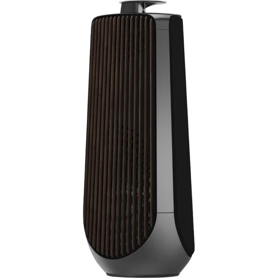 Акустическая система Bang & Olufsen Beolab 50 Anthracite, Цвет: Anthracite, изображение 2