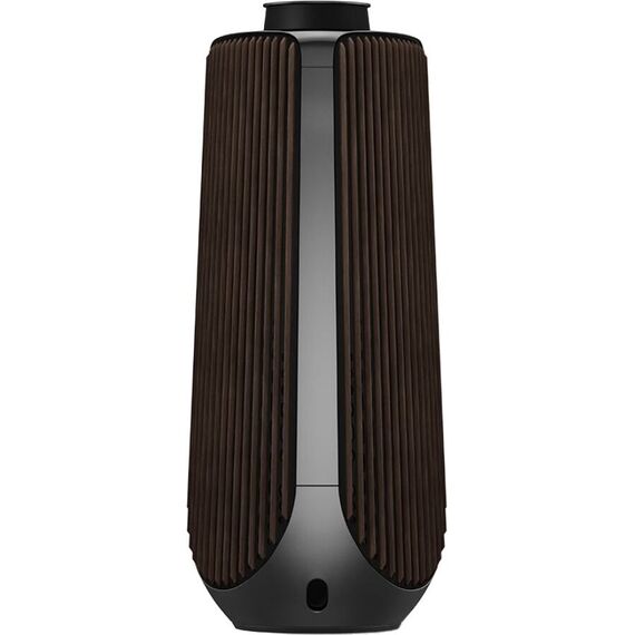 Акустическая система Bang & Olufsen Beolab 50 Anthracite, Цвет: Anthracite, изображение 5