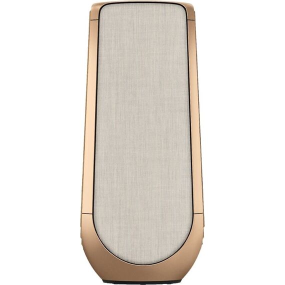 Акустическая система Bang & Olufsen Beolab 50 Gold Tone, Цвет: Gold Tone, изображение 4