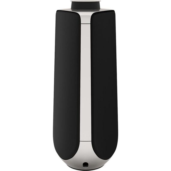 Акустическая система Bang & Olufsen Beolab 50 Natural, Цвет: Natural, изображение 5