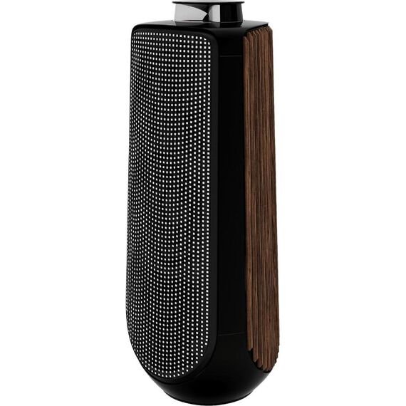 Акустическая система Bang & Olufsen Beolab 50 Piano Black, Цвет: Piano Black, изображение 6