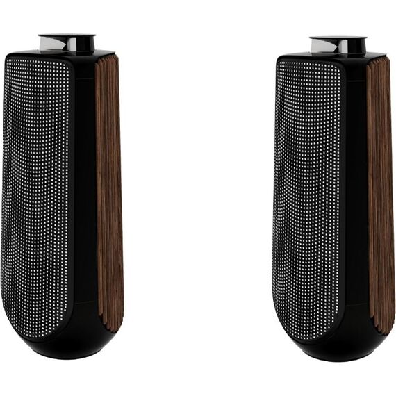 Акустическая система Bang & Olufsen Beolab 50 Piano Black, Цвет: Piano Black