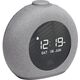 Портативная колонка JBL Horizon 2 Grey, Цвет: Gray