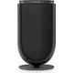 Колонки Bang & Olufsen Beolab 8 Black/Dark Oak, Цвет: Black/Dark Oak