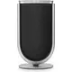 Колонки Bang & Olufsen Beolab 8 Natural/Grey Melange, Цвет: Natural/Grey Melange