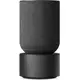 Колонка Bang & Olufsen Beosound Balance Black, Цвет: Black