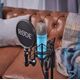 Студийный микрофон RØDE NT1 Signature Series, изображение 6