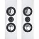 Встраиваемая акустика Canton Atelier 700 White Semi Gloss, Цвет: White Semi Gloss