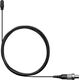 Петличный микрофон Shure DL4 DuraPlex Lemo3 Black, Цвет: Black, Разъем: Lemo3, изображение 2