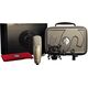 Студийный микрофон Shure KSM32 Champagne, Цвет: Champagne, изображение 4