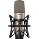 Студийный микрофон Shure KSM32 Champagne, Цвет: Champagne, изображение 3