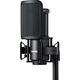 Микрофон Shure SM4 для домашней записи со студийным комплектом, изображение 2
