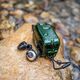 Наушники Klipsch T5 II TW Sport Green, Цвет: Green, изображение 4