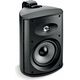 Настенная акустика Focal 100 OD 6 Black, Цвет: Black
