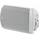 Настенная акустика Focal 100 OD 6 White, Цвет: White, изображение 6