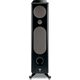 Напольная акустика Focal Kanta N°2 Black High Gloss - Black Mat, Цвет: Black High Gloss - Black Mat, изображение 3