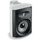 Настенная акустика Focal 100 OD 6 White, Цвет: White