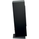 Напольная акустика Focal Chora 826 Black, Цвет: Black, изображение 5