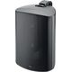 Настенная акустика Focal 100 OD8 - T Black, Цвет: Black