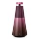 Колонка Bang & Olufsen Beosound 2 Gradient Club, Цвет: Club